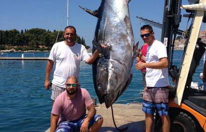Skakali od sreće u more: Ulovili rekordnu tunu tešku čak 340kg