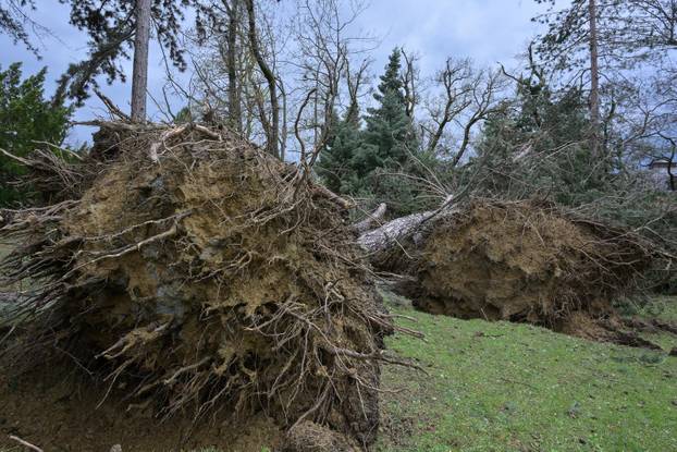 Zagreb: U nevremenu teško  oštećeno gradsko groblje Mirogoj