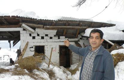 Urušilo se krovište: Snijeg mu je ubio tri konja i čak 12 svinja