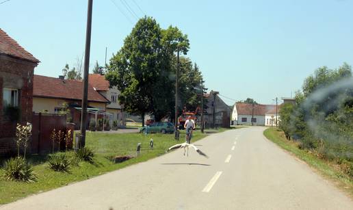 Male rode se drže skupa: Munje i vjetar ubili su im roditelje...