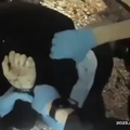 VIDEO Policija ga vezala dok im je vikao 'Uboden sam!': Kaos u Britaniji zbog ubojstva mladi&cacute;a