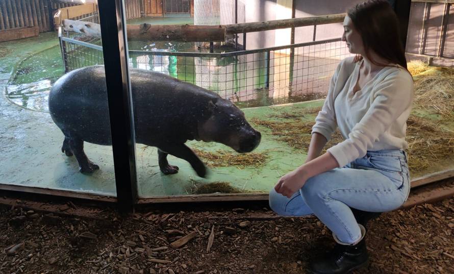 Zagrebački ZOO: Naša nova članica dobila je ime, biralo ga je preko 3000 građana