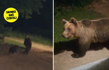 SNIMKA IZ LIKE 'Medo nam je došao pod prozor. Tu je već kao doma. Ima i male medvjediće'