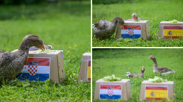 Gibona Kenta više nema pa sad pobjednike bira guska Severina! Evo tko je njezin odabir na Euru