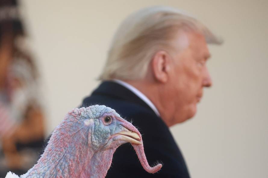 U.S. President Trump hosts presentation of 73rd National Thanksgiving Turkey at the White House