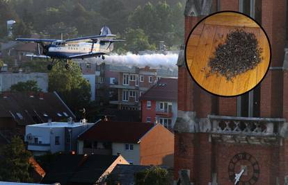 Nikad gora najezda komaraca u Osijeku: 'Ne možemo živjeti...'