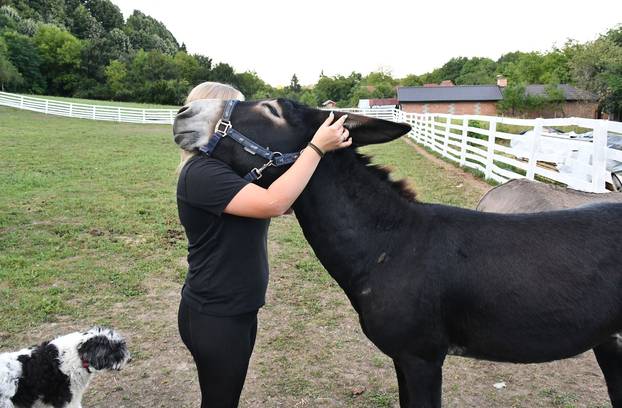 FOTO Kokoši, peseki, konji... Evo što sve skriva Enin ranč pun ljubavi: 'Oni su moji ljubimci!'