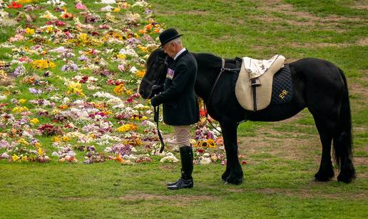 Omiljeni poni kraljice Elizabete II. na sprovodu je nosio njenu maramu, došao se oprostiti...