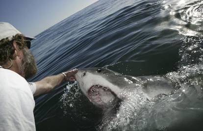 Šaptač morskim psima: Padaju u trans dok ih škaklja po njušci