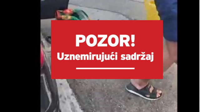 Stranci u Mostaru u užarenom autu ostavili ljubimce, spašavali ih prolaznici: Pas i maca uginuli