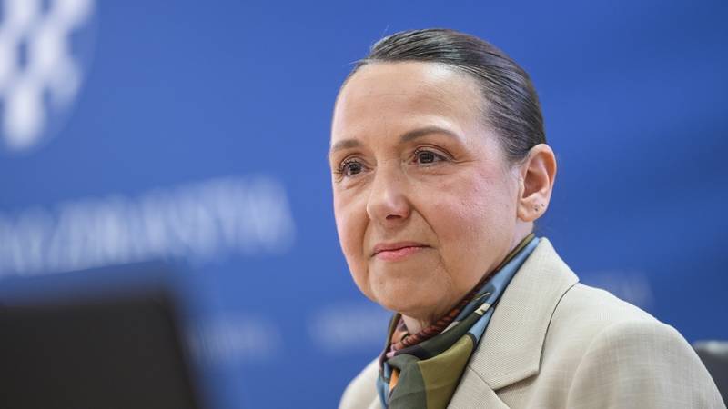 Ministrica zdravstva: 'Rizik od pojave hantavirusa u Hrvatskoj je nizak. Ali, spremni smo...'