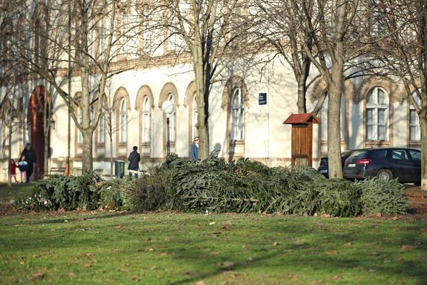 Zagreb: Veliki broj odbačenih božićnih drvaca na Trgu dr. Franje Tuđmana