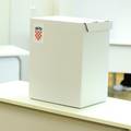 Izbori u Pazinu: Glasovalo tek nešto više od četvrtine birača