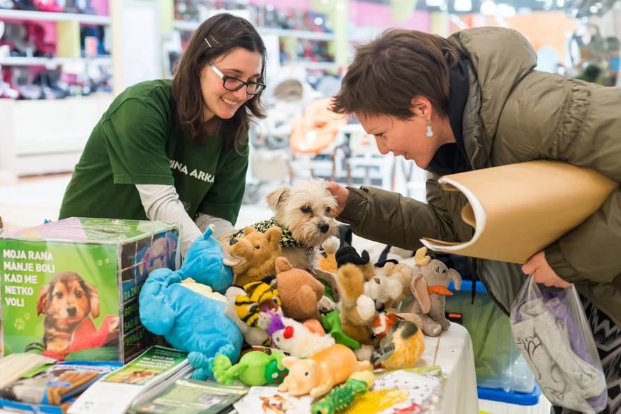 Traži se glavna njuška Westgatea! Prijavite ljubimca