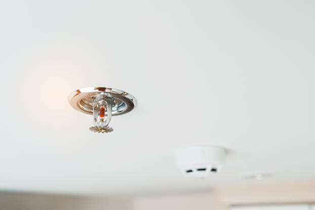 Fire Sprinkler and Smoke sensor detector mounted on roof in home