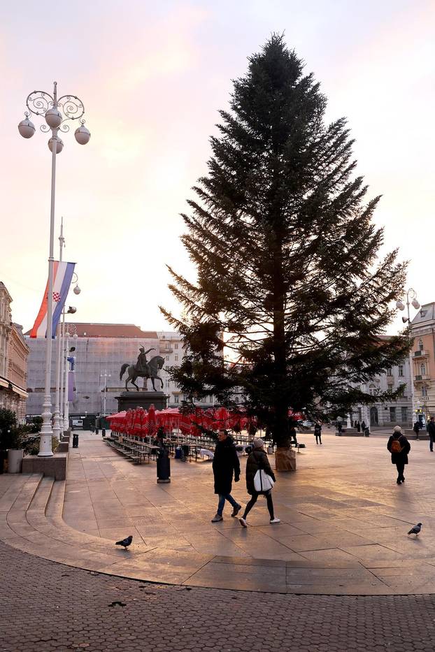 Zagreb: Na Trgu bana Jelačića postavljen bor