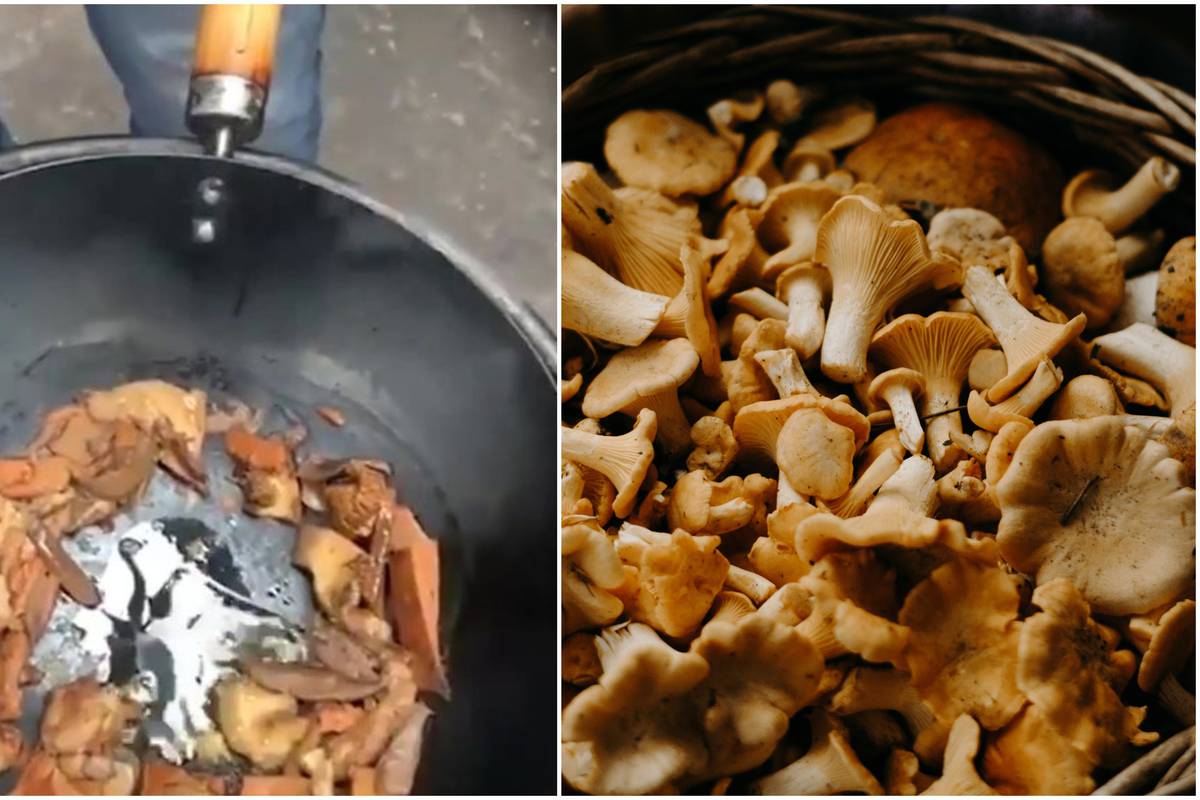 Neobična metoda: Kuhar tvrdi da pogrešno pripremamo gljive