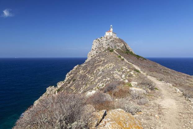 Pućinski otok Palagruža