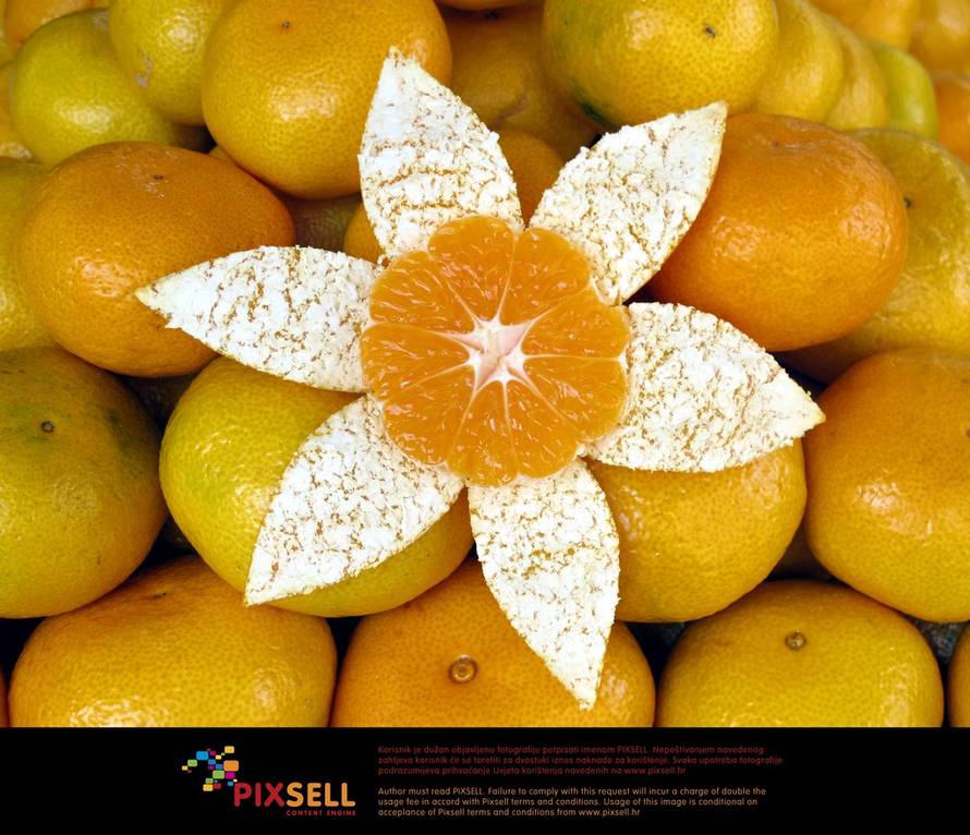 Goran Kovačić/Pixsell