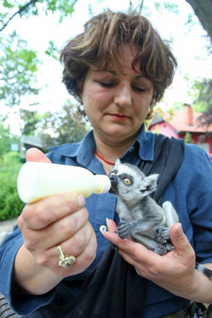 Petar Glebov/PIXSELL