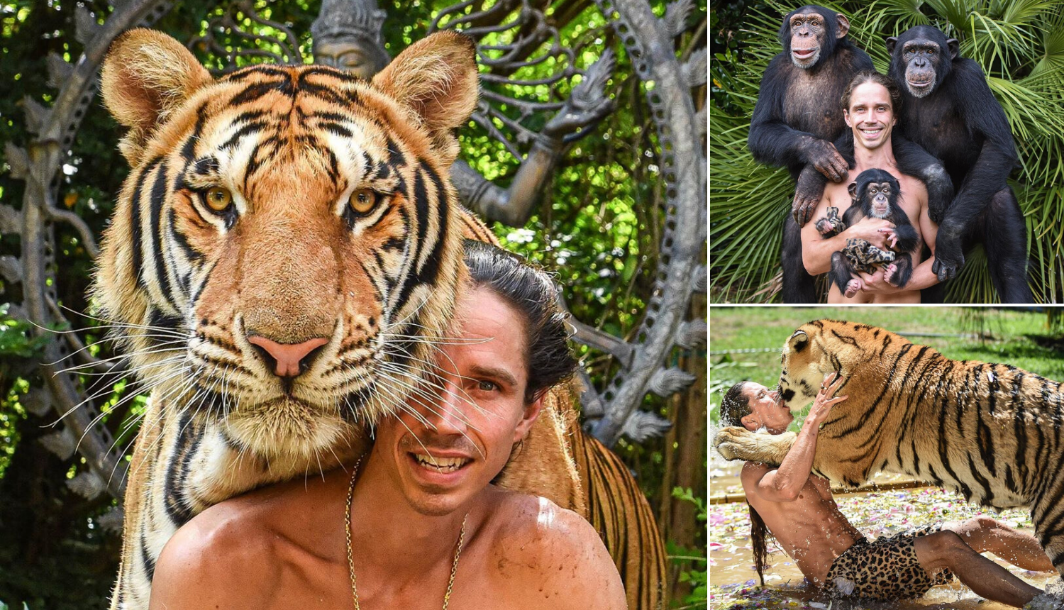 Moderni Tarzan: Tigar mu je ljubimac, a živi s čimpanzama