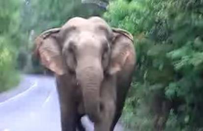 Razjareni slon napao turistički bus u Indiji