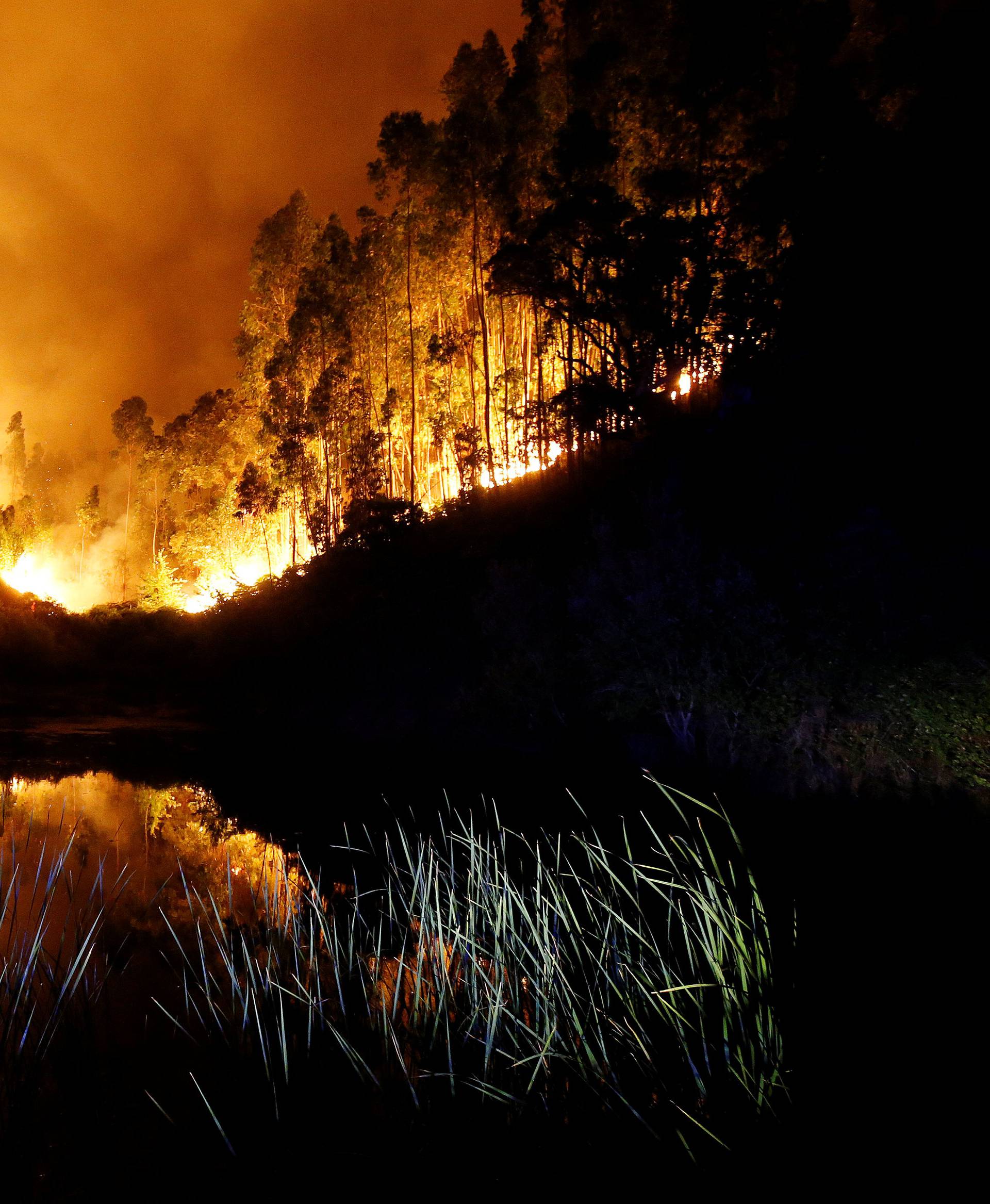 A forest fire is seen near Bouca in central Portugal