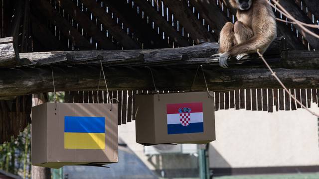Gibon Kent prognozira: Tko će dobiti - Ukrajina ili Hrvatska?
