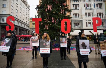 Prijatelji životinja traže: Novim Pravilnikom o opasnim psima spriječiti napade pasa