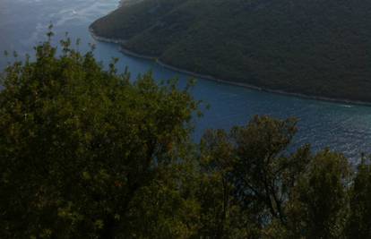 Gori šuma u Istri kod Rapca i kod Hreljina u zaleđu Bakra