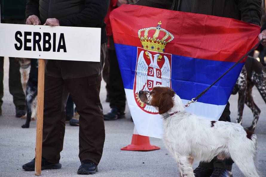 Ukrajinska himna orila se u Zadru zbog jednog - psa. Rančo je najbolji ptičar u Europi...