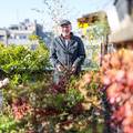 FOTO Zoran je na krovu zgrade u Zagrebu napravio zelenu oazu: 'Tu sadimo biljke, družimo se...'