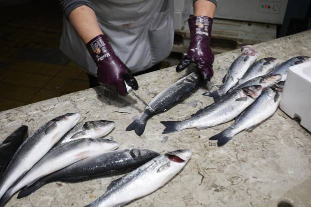 Rijeka: Ponuda ribe na riječkoj ribarnici
