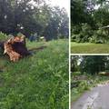 FOTO Snažno nevrijeme noćas pogodilo Međimurje: Vjetar čupao stabla, padala je i tuča