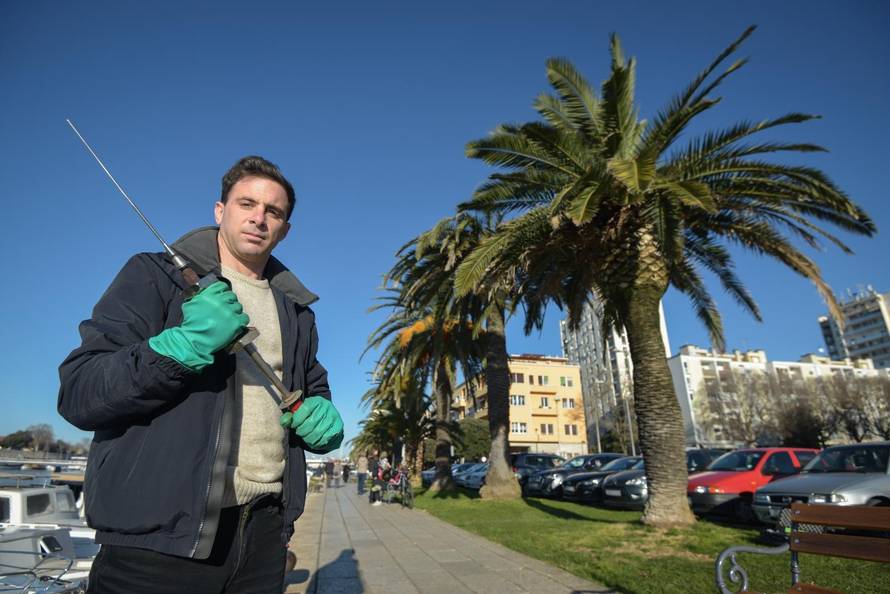 Doktor za palme: 'Spasio sam ih 150 u zadnjih godinu dana'