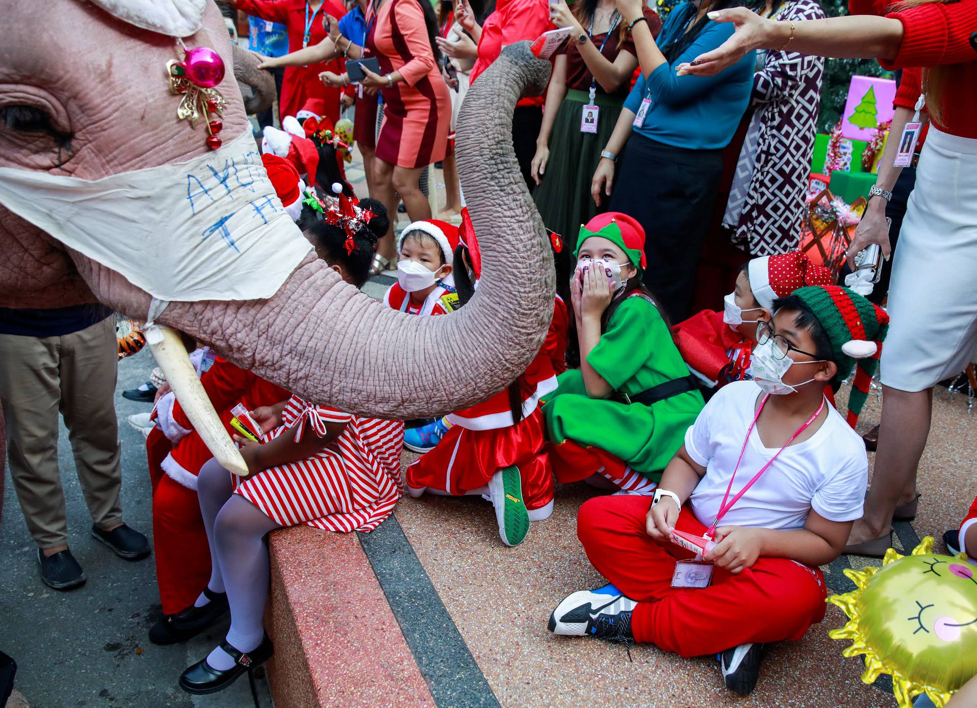 Elephants in Santa Claus costumes vist to a school