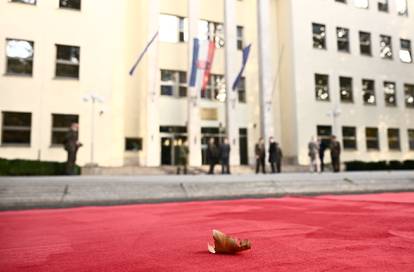 FOTO S crvenog tepiha micali list po list, Milanovića čuvali specijalci s antidron puškama