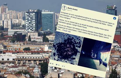 Najezda žohara u Sarajevu, vijećnik objavio fotografiju:  'Tu  u blizini su vrtić i Dom zdravlja'