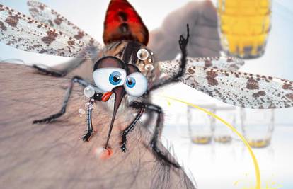 Invazija dosadnih komaraca: Koga grizu i kako se zaštititi?