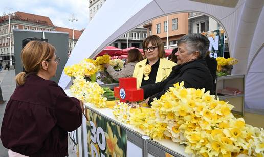 FOTO Dan je narcisa: &Zcaron;uta boja preplavila ulice diljem Hrvatske