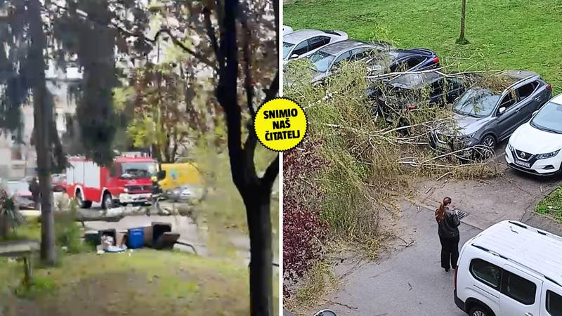 VJETAR SRUŠIO DRVO U Trnskom komad pao na auto i razbio ga