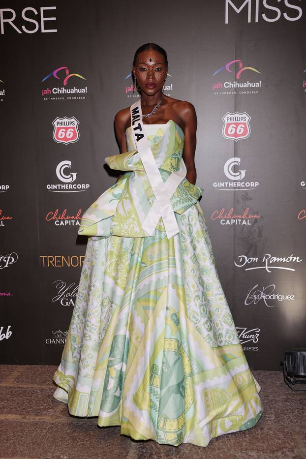 Miss Universe Catrinas Gala Red Carpet, Mexico City, Mexico - 01 Nov 2024