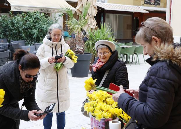 Šibenik: Liga protiv raka Šibensko-kninske županije dijelila narcise