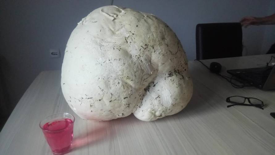 'Gljivu tešku 4.5 kilograma planiramo podijeliti i pojesti'