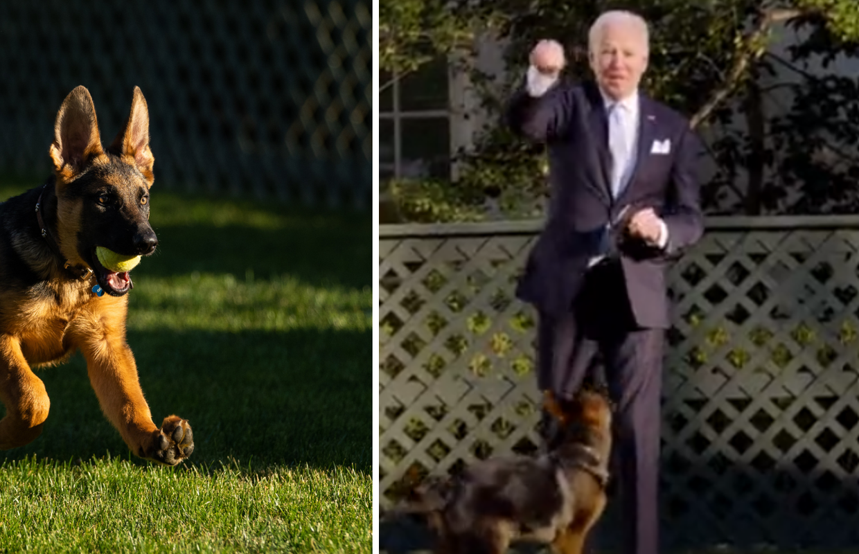U Bijelu kuću stigao ljubimac, Biden ga s ponosom predstavio
