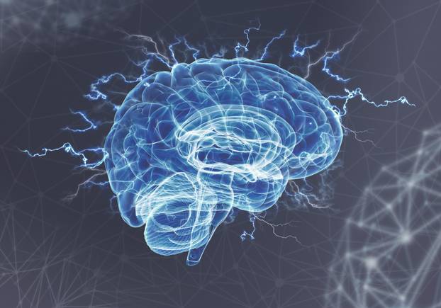 A human brain on blue background