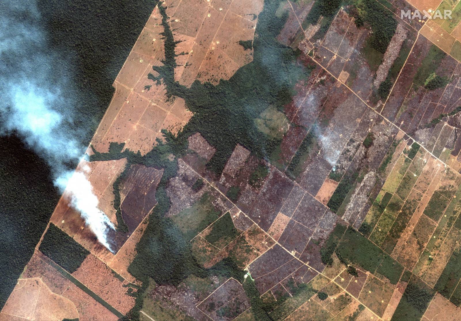 A satellite image shows smoke rising from Amazon rainforest fires in the State of Rondonia