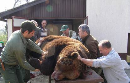 Norvežanin s tri hica ubio medvjeda teškog 320 kg