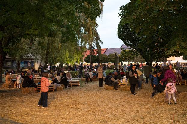 Održana 21. Bučijada i Sajam bučina ulja u Ivanić-Gradu