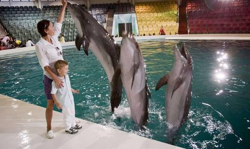 Trenirani delfini u hotelu Atlantis oduševili prvašiće